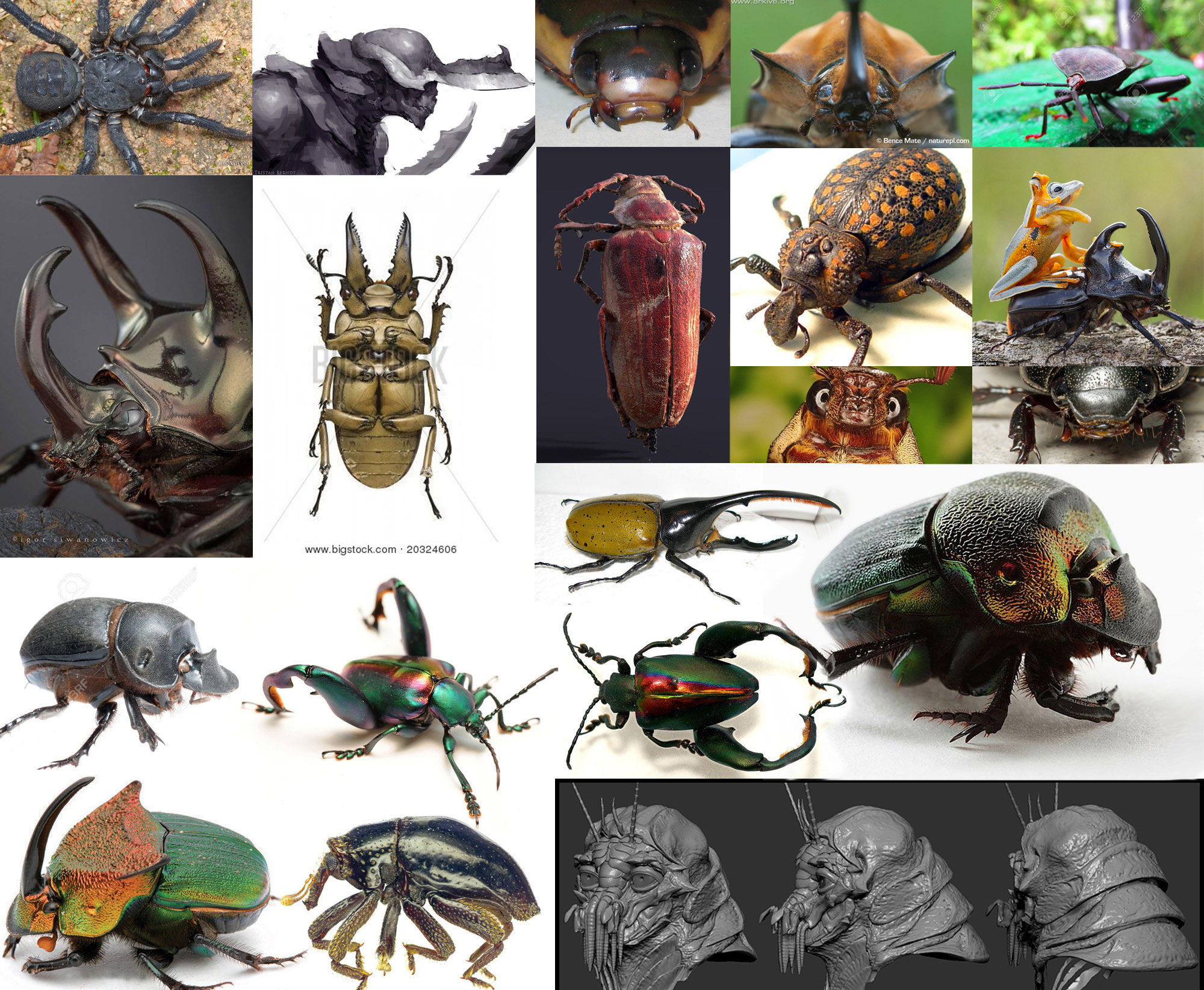 Lord-_Grub_Reference_Sheet.jpg