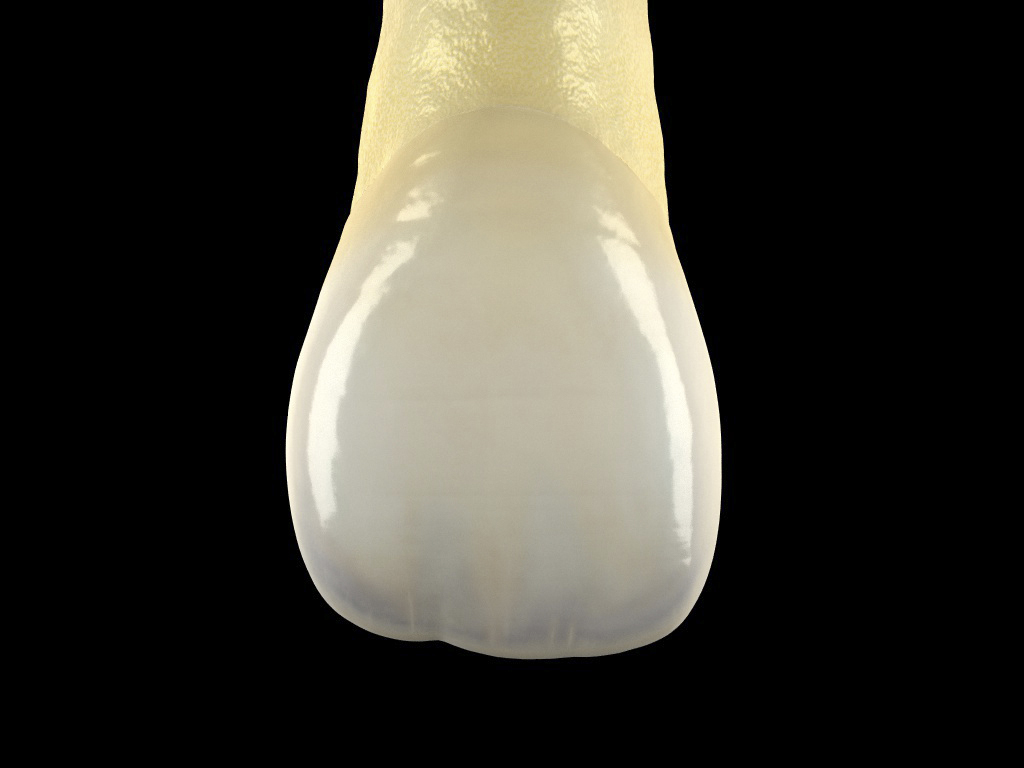 11b.jpg