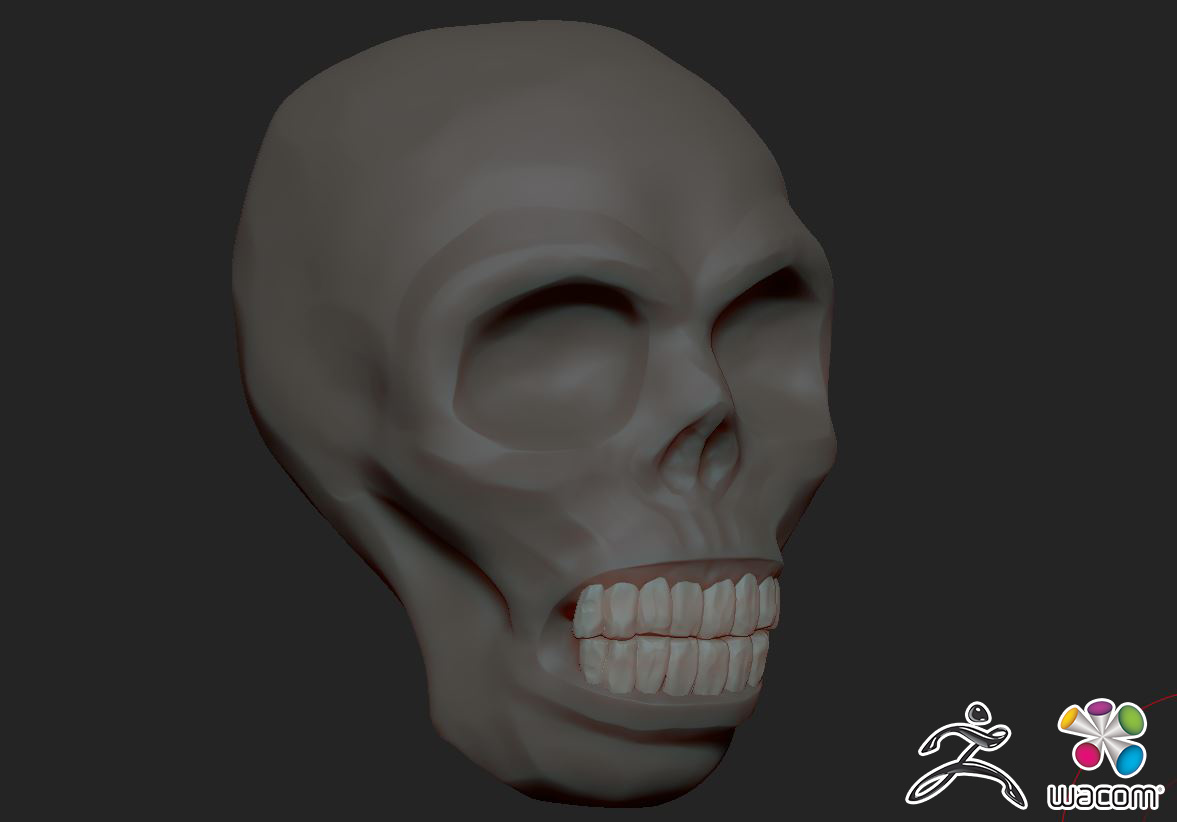 SKULLTEST000002.jpg
