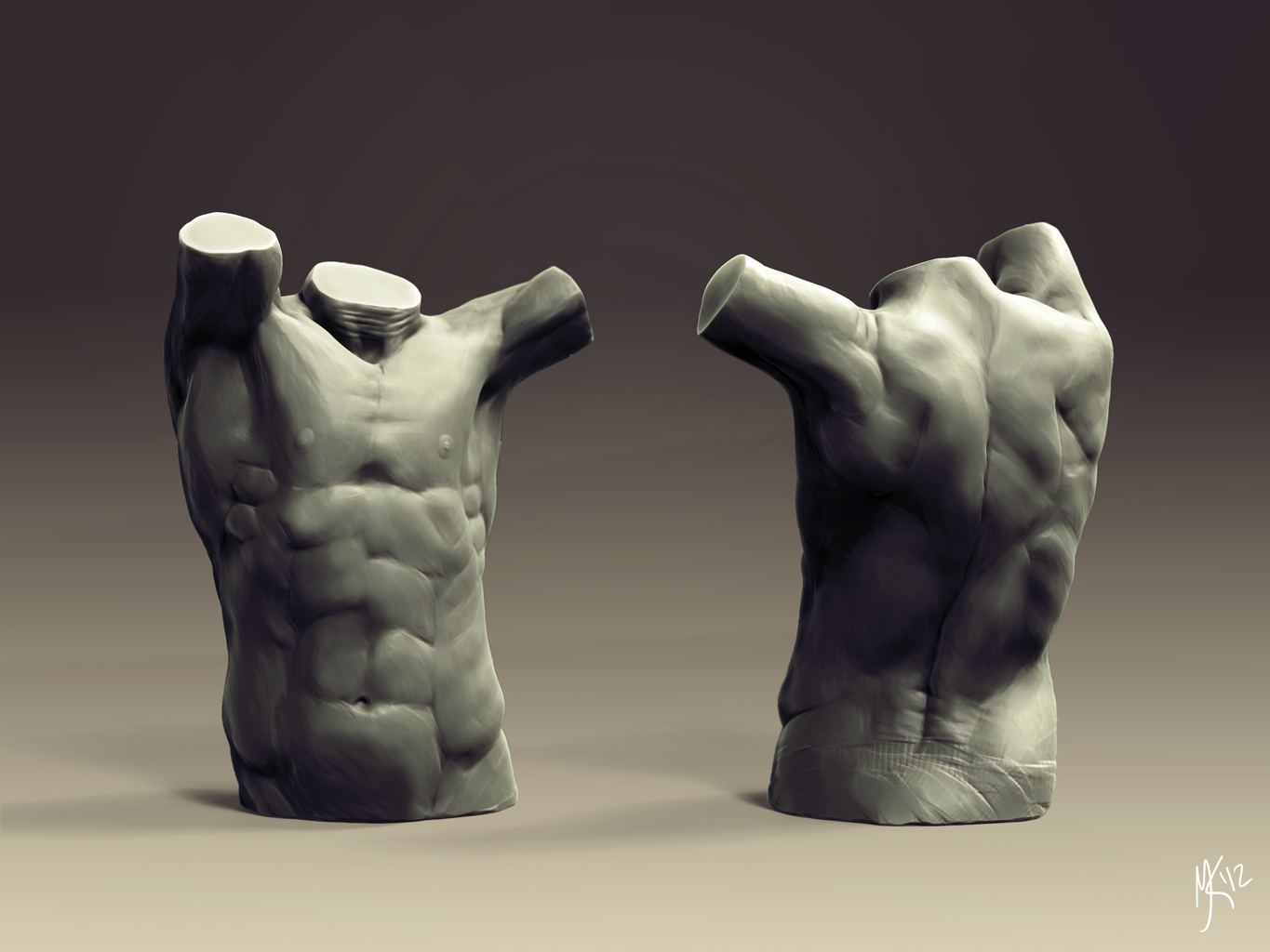 01_MaleTorso_web.jpg