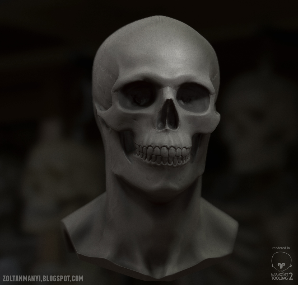 SkullMarmo_shot_01.jpg
