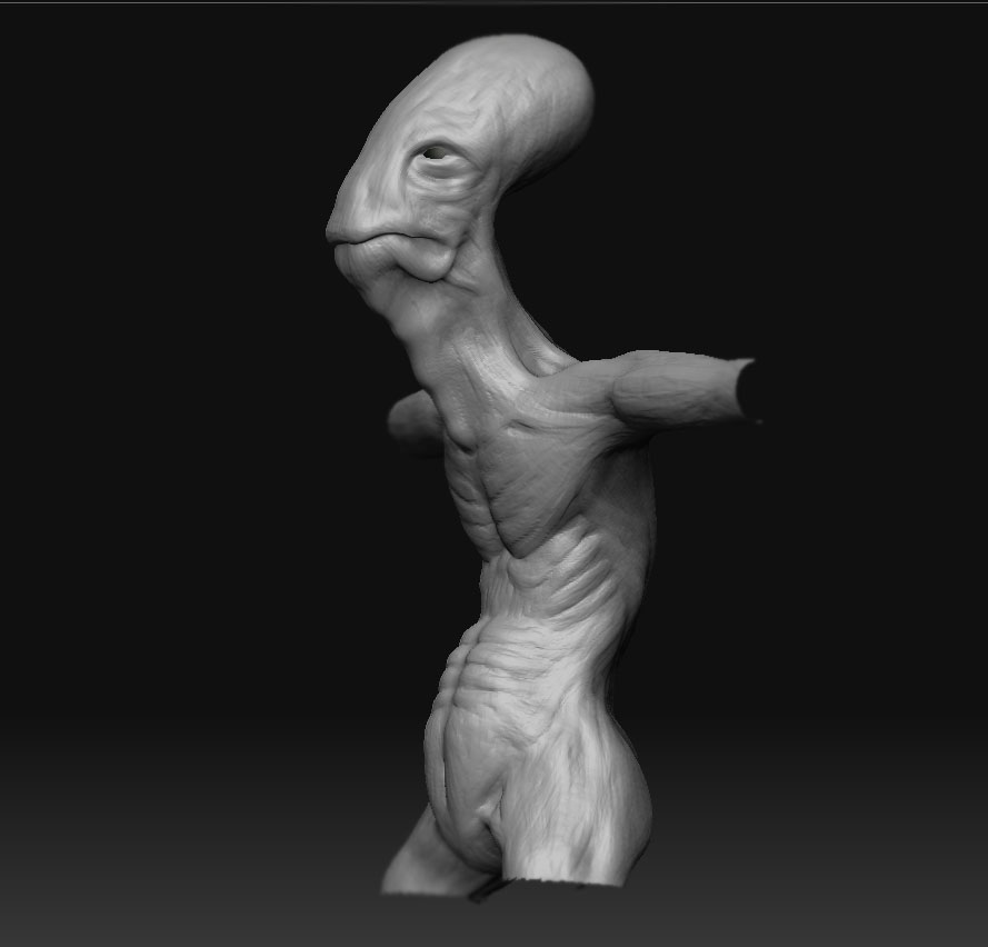 wip_torso_2.jpg