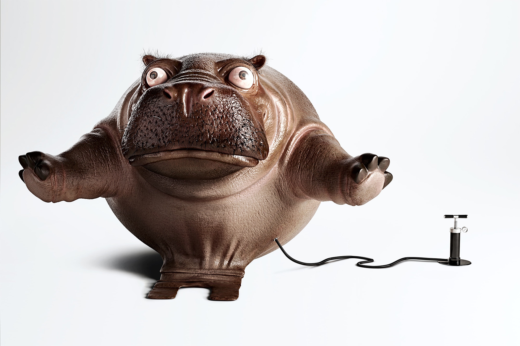 HIPPO FINAL.jpg