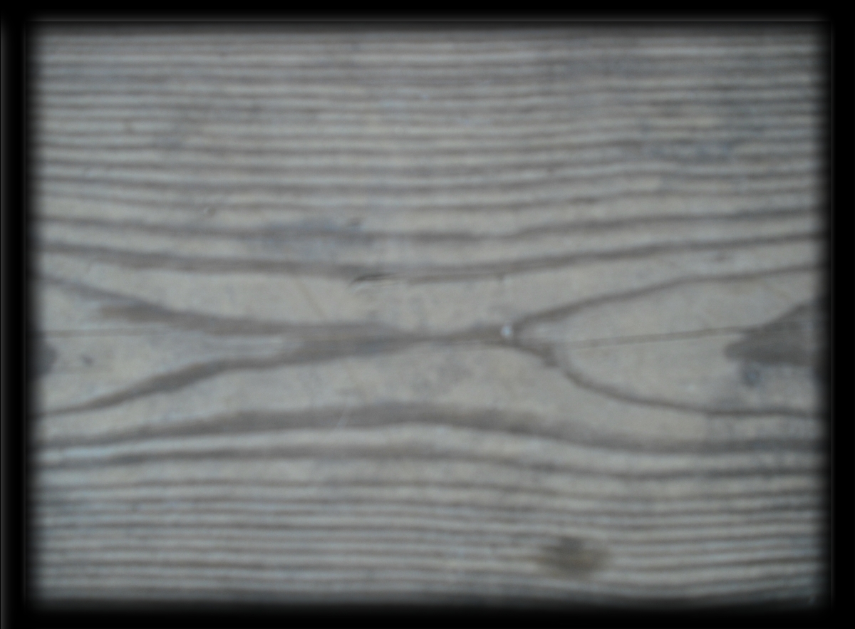 Wood_3 002.JPG