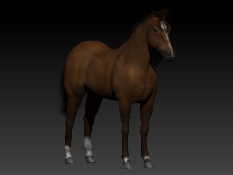 Full%20Horse%20%20(8)