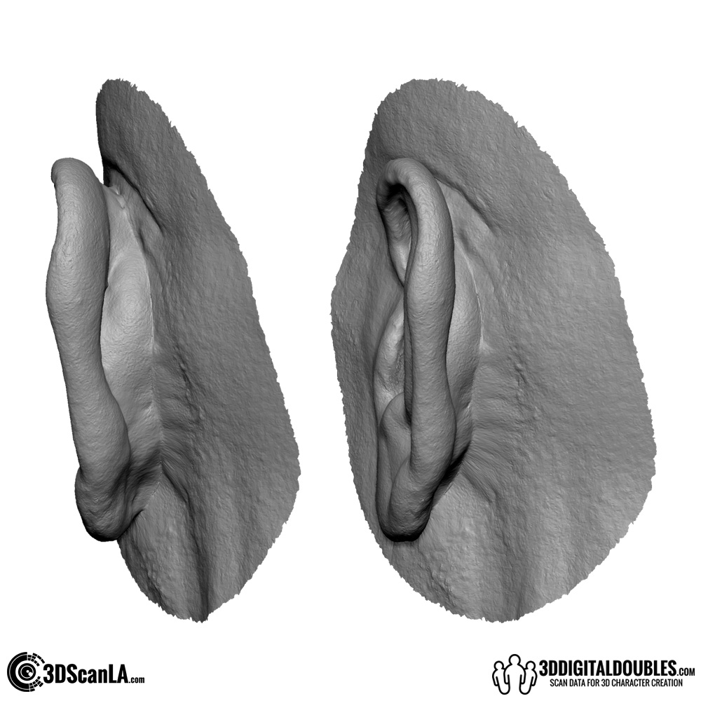 Free 3d Scan Data Zbrushcentral