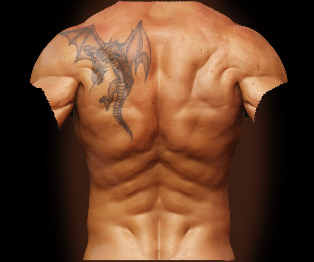 MaleAnatomyBack.jpg