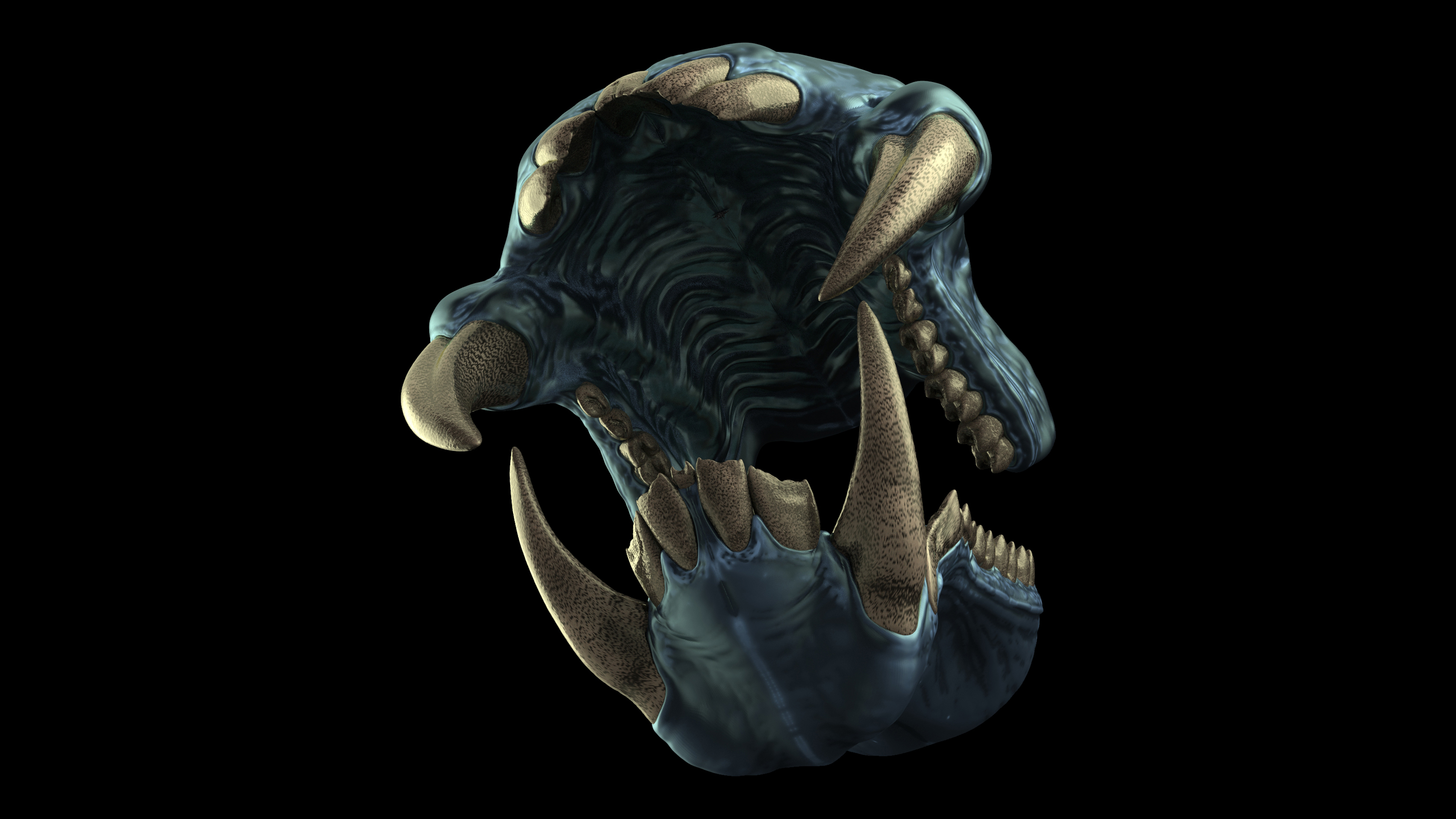 Teeth_Kits_Master_Views_Mandrill_14.jpg