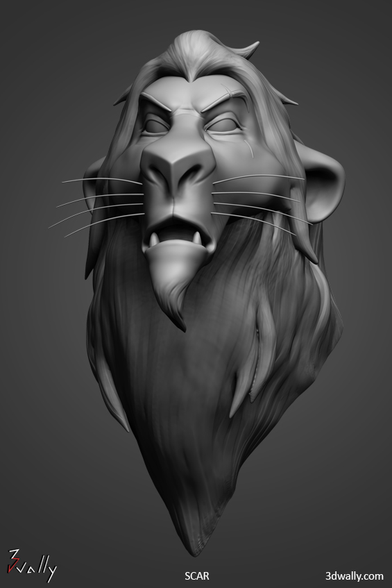 scar_hp.jpg