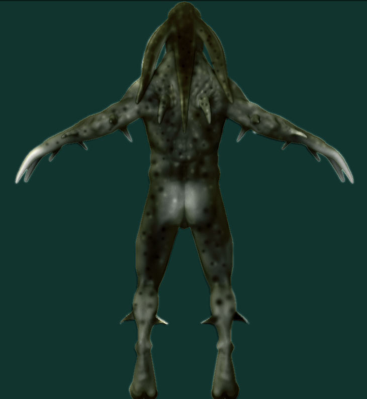 textureback.jpg
