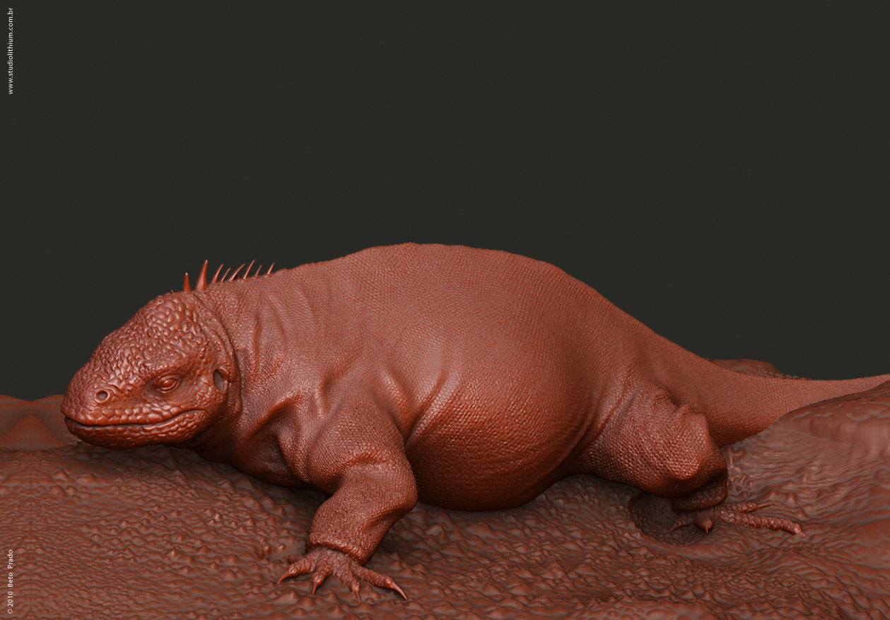 06_Iguana.jpg