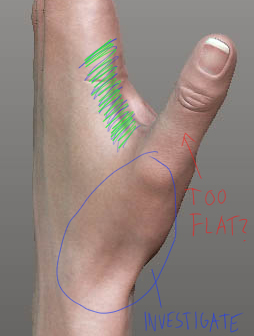 hand_zbrushViewport_thumb.jpg