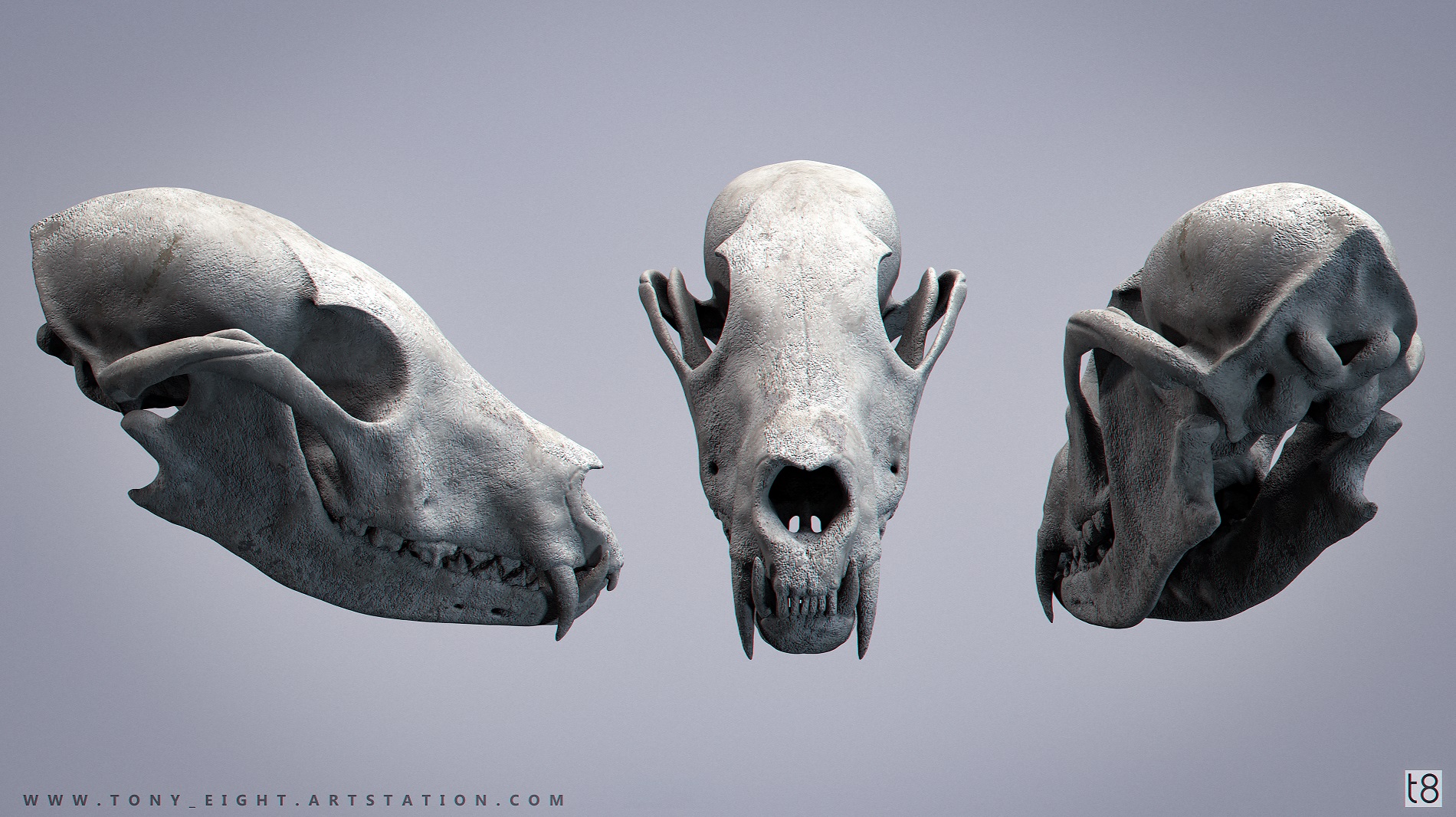 Fox_Skull_01_small.jpg