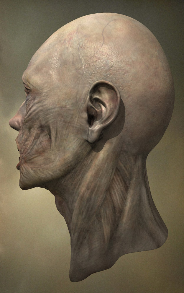 Z_R_Rend_005c.jpg