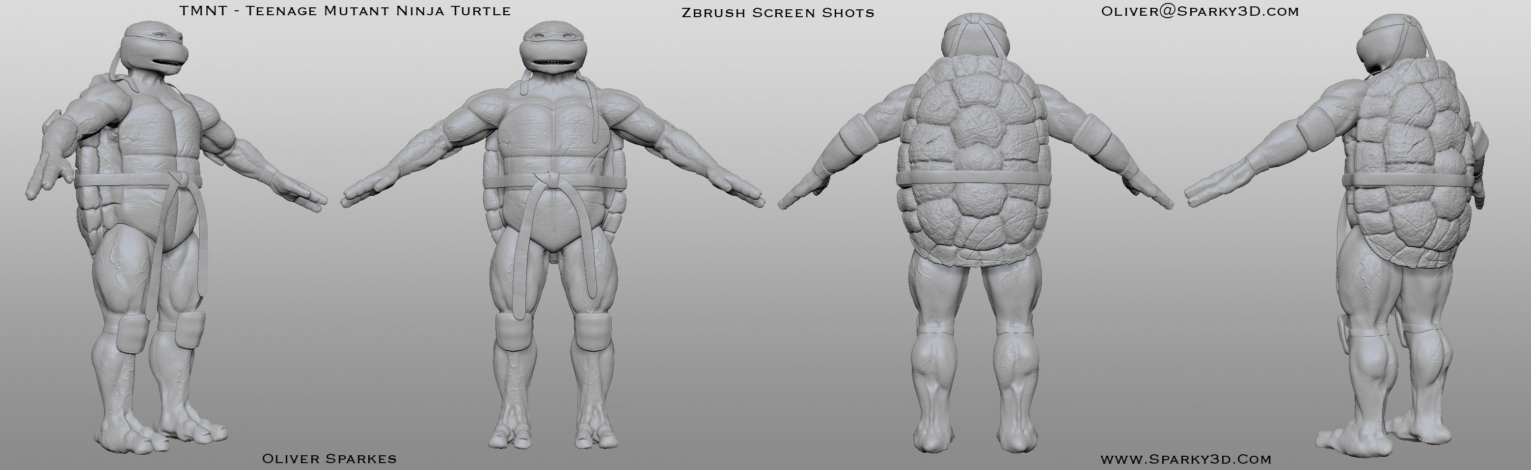 turtle_multi_views_grey_smaller.jpg