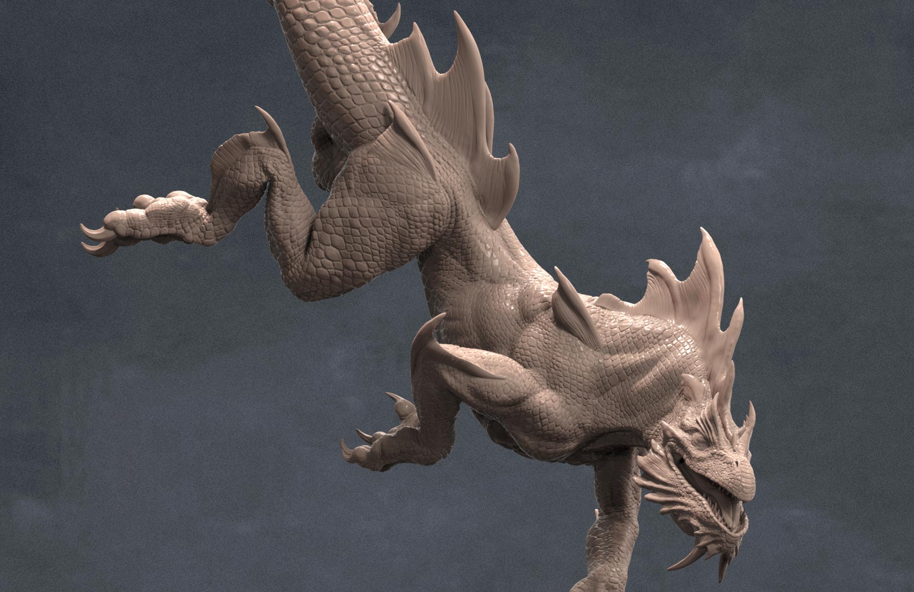 S_rathaless_detail_4.jpg