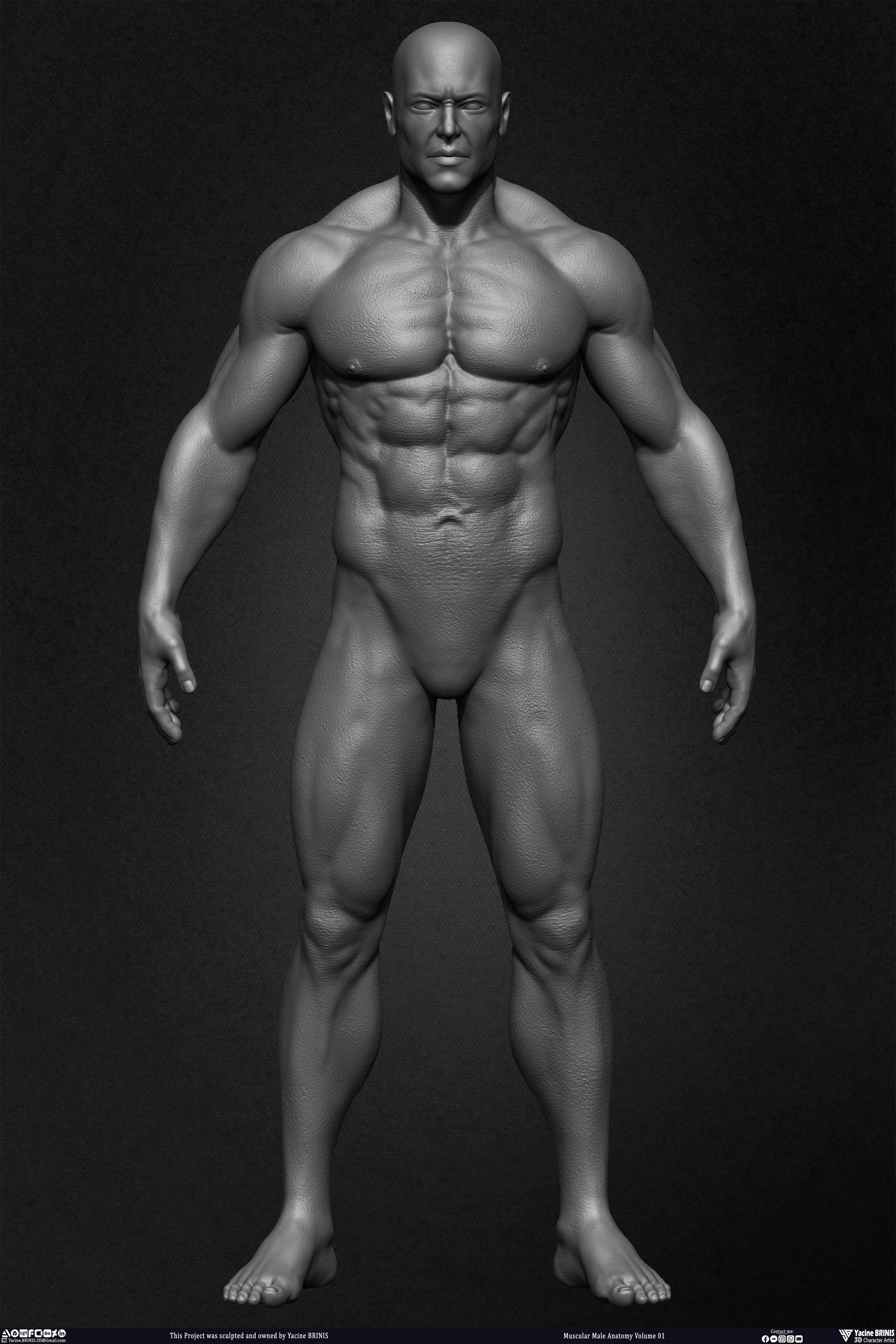 Muscular Male Anatomy 3D Character sculpted by Yacine BRINIS 005