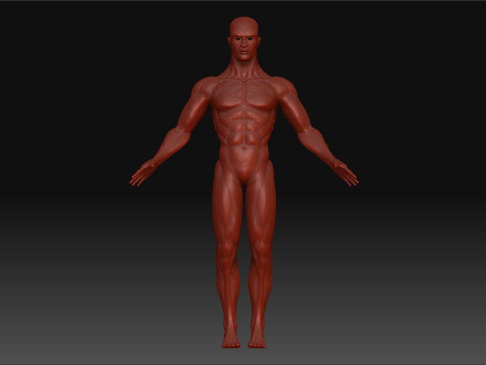 front.jpg