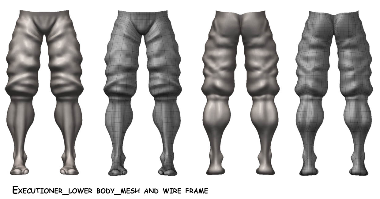 Compile_execut_lower zmesh.jpg