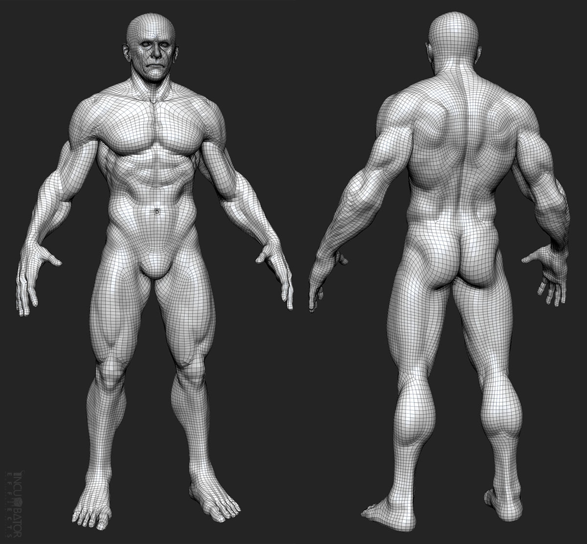 wireFrame.jpg
