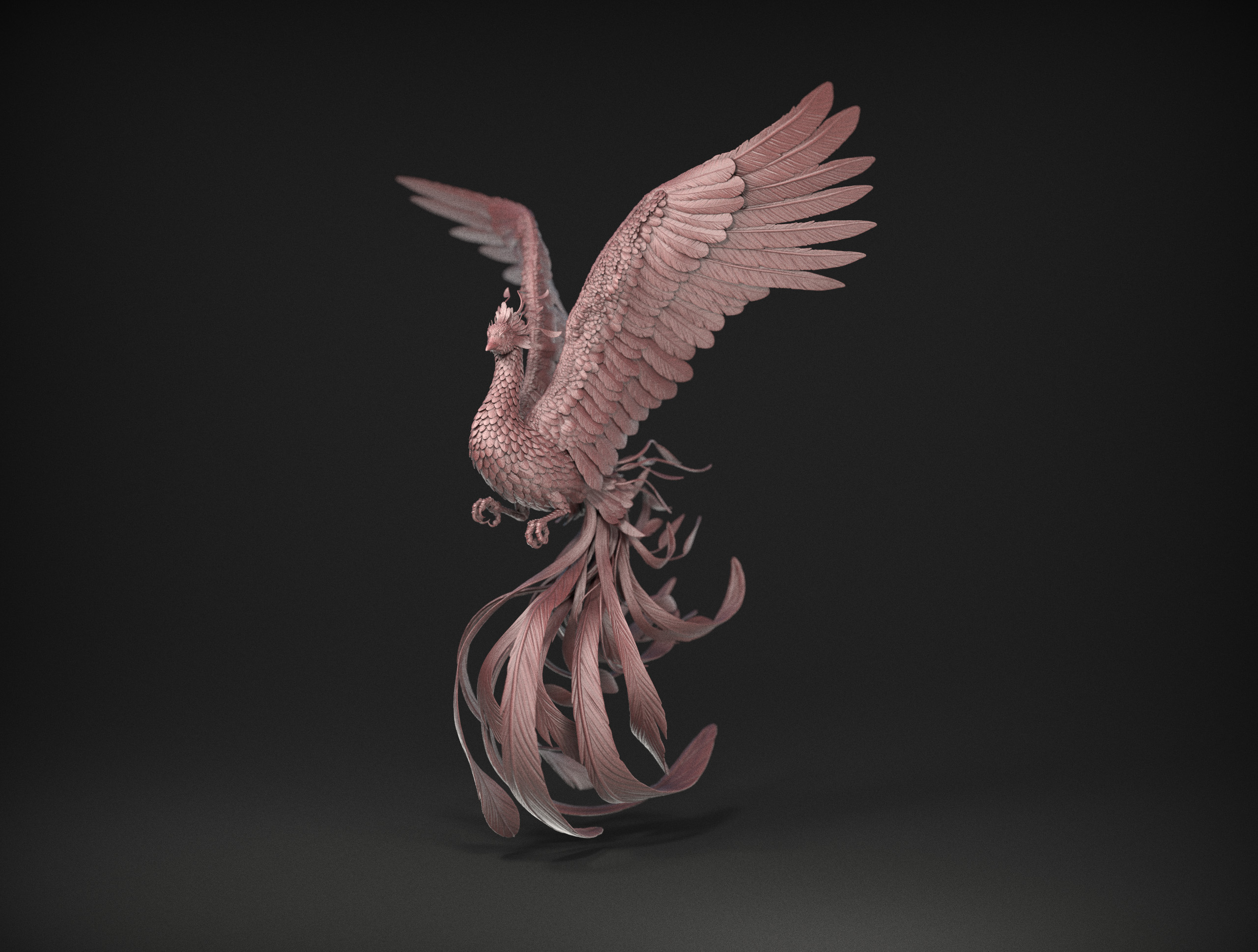bird5