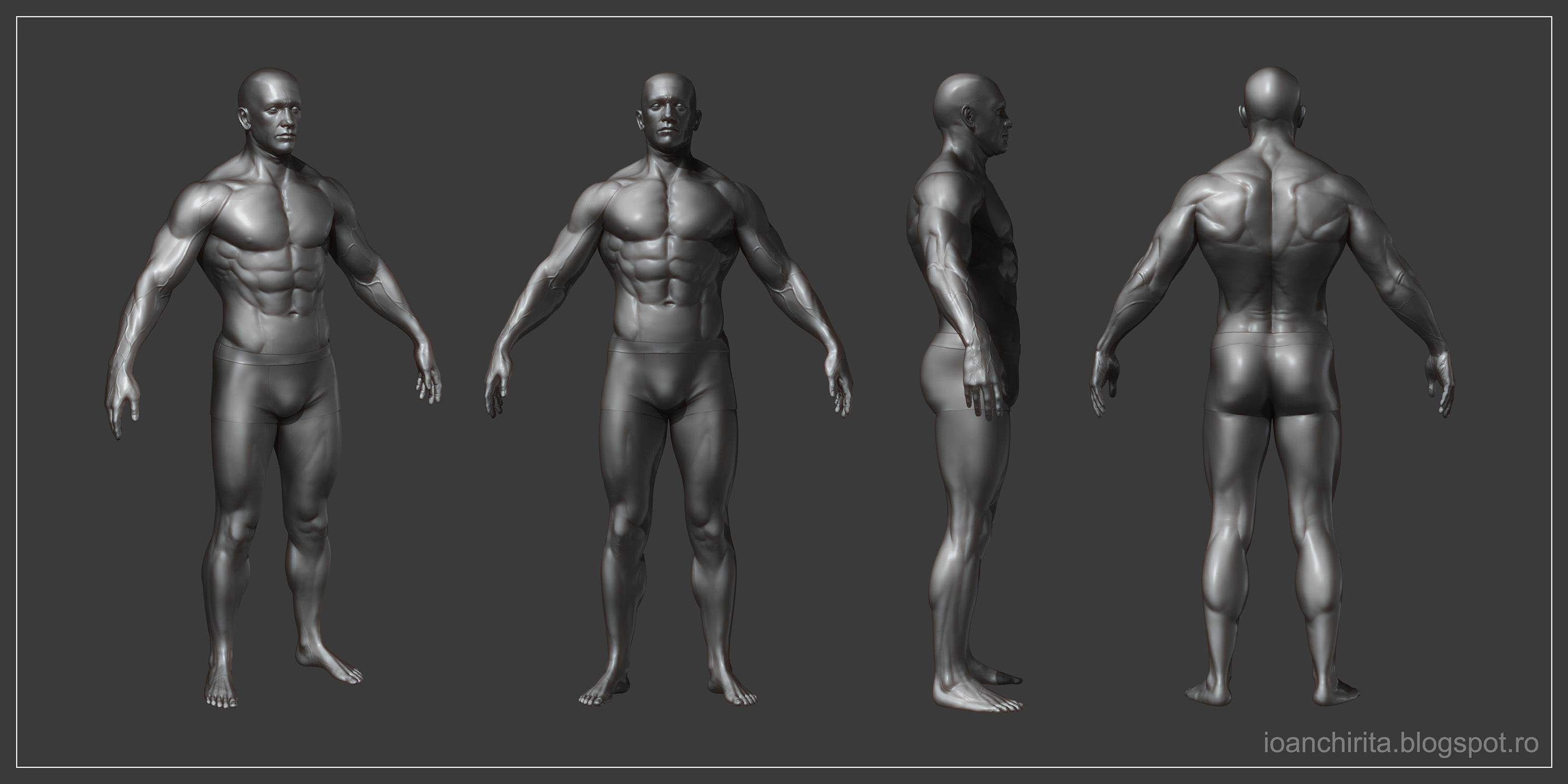 male_anatomy_views02_IoanChirita.jpg