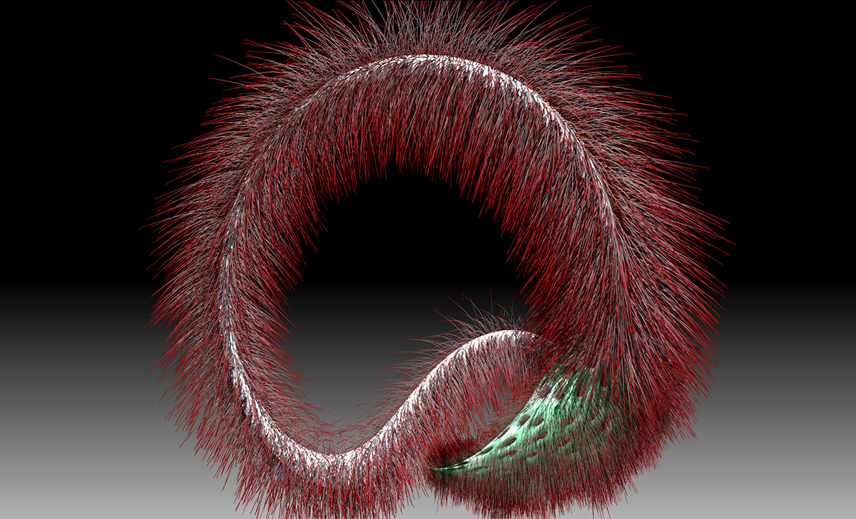 SpikeyHair2.jpg