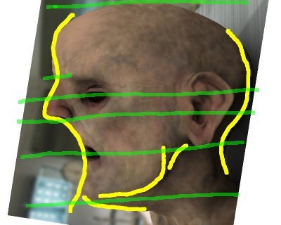lines1.jpg