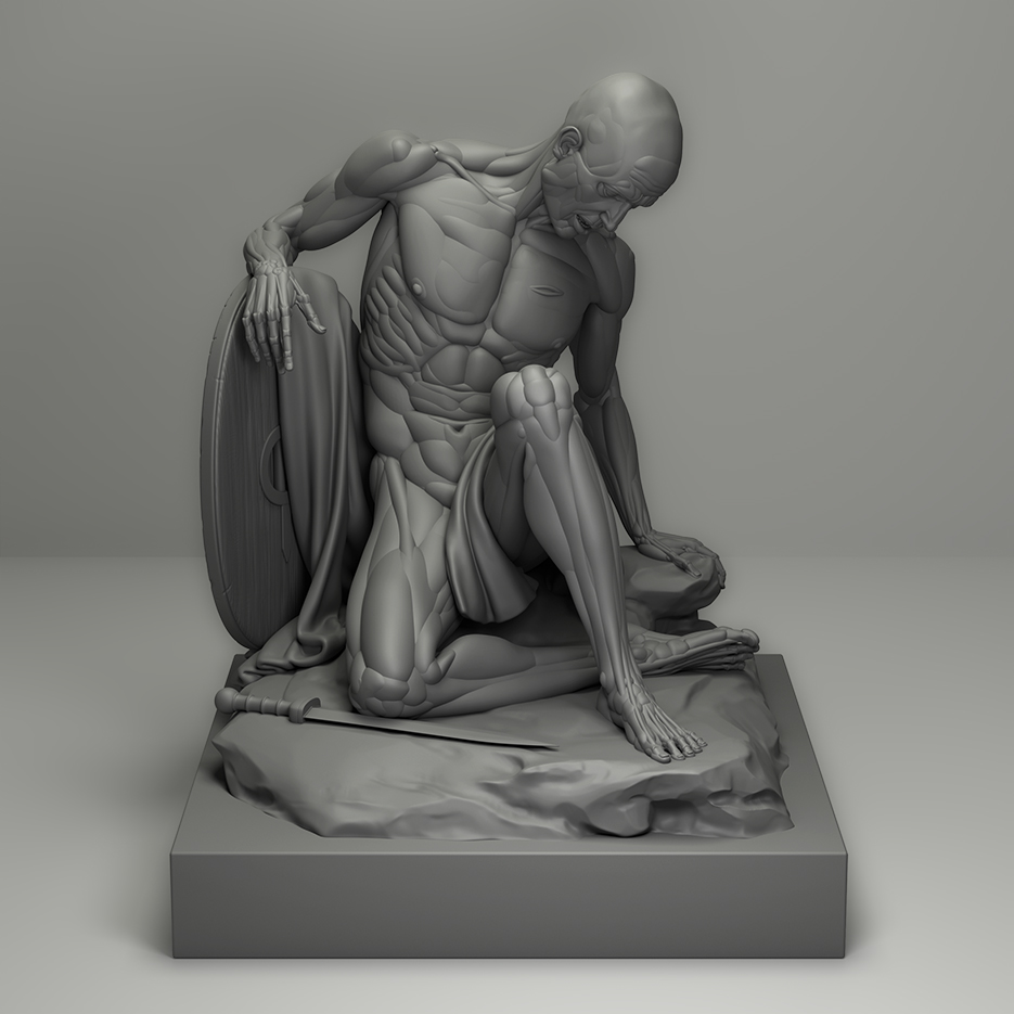 anatomy