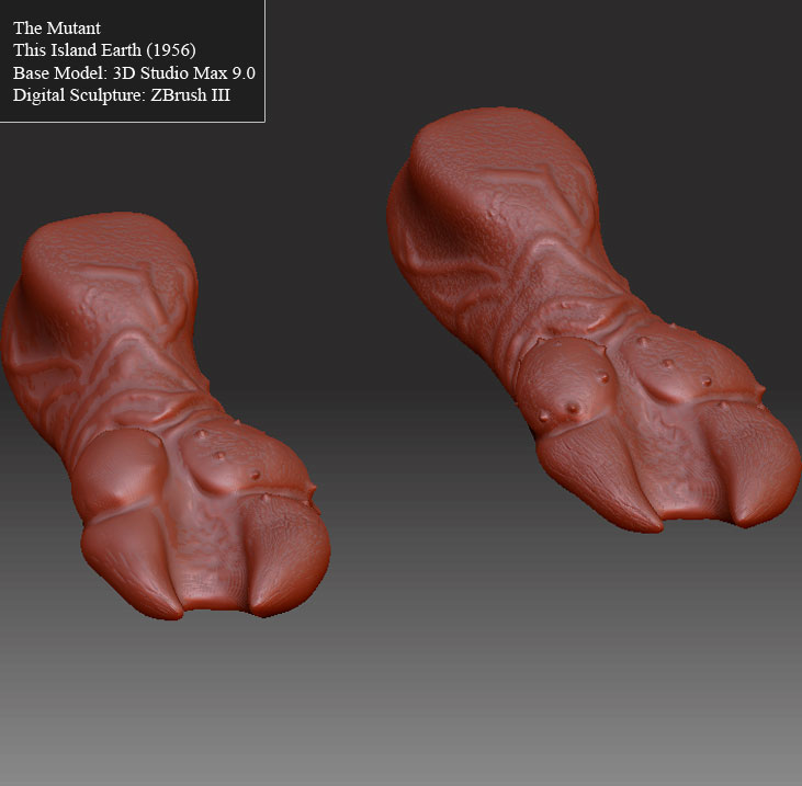 Feet.jpg
