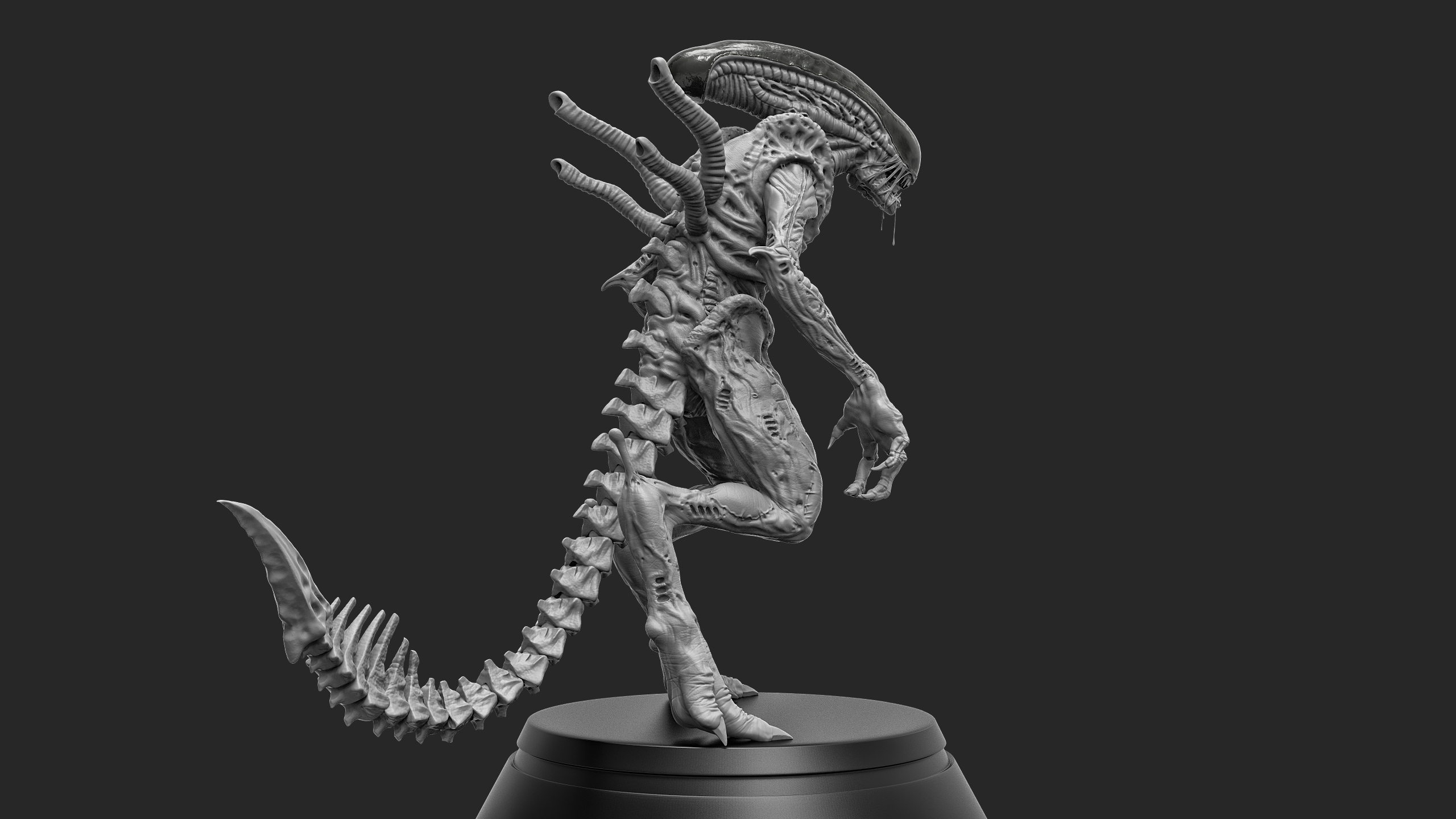 xeno25.jpg