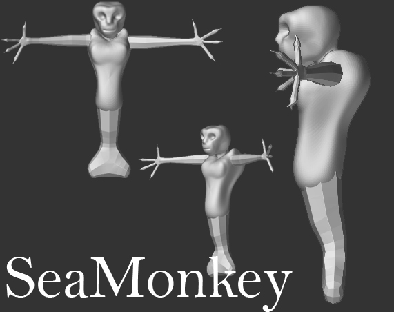 firstseamonkey.jpg
