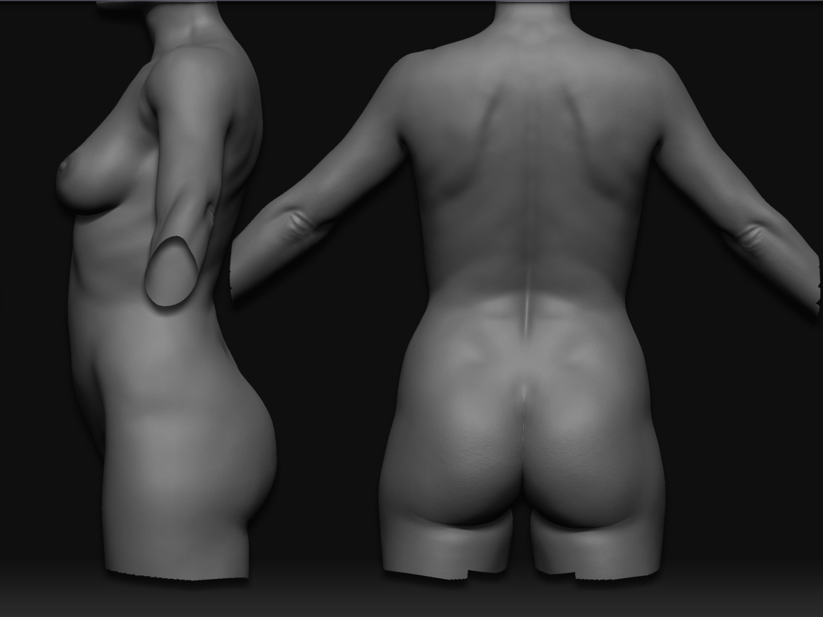 ZLATA V3.4 DETAIL SHADED TORSO SIDE AND BACK.jpg