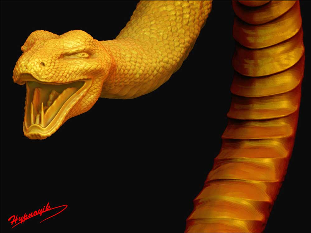 crotal-6.jpg