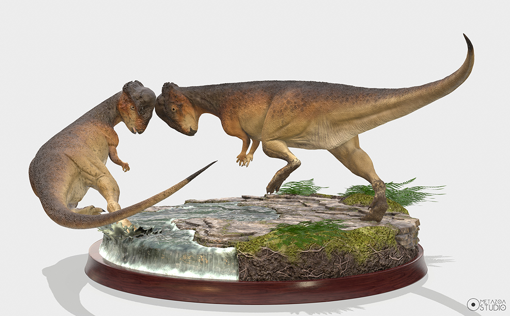 Stegoceras_color_vista%203