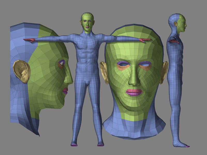 human1.jpg