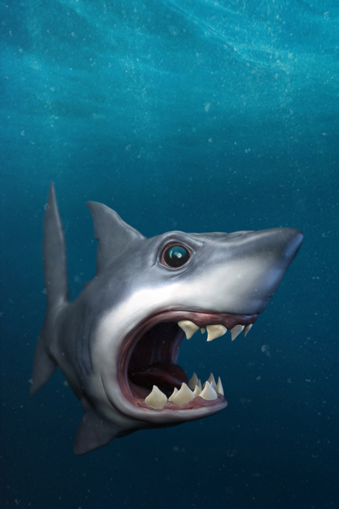Shark_web.jpg