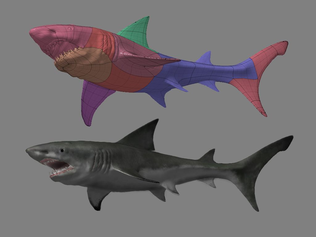 Proceso_tiburon_3_cop.jpg