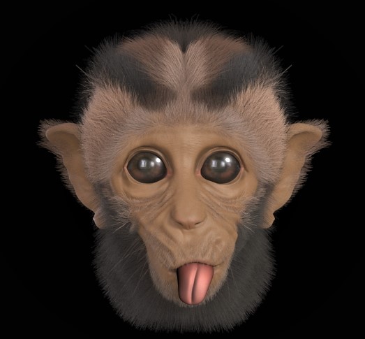 Monkey