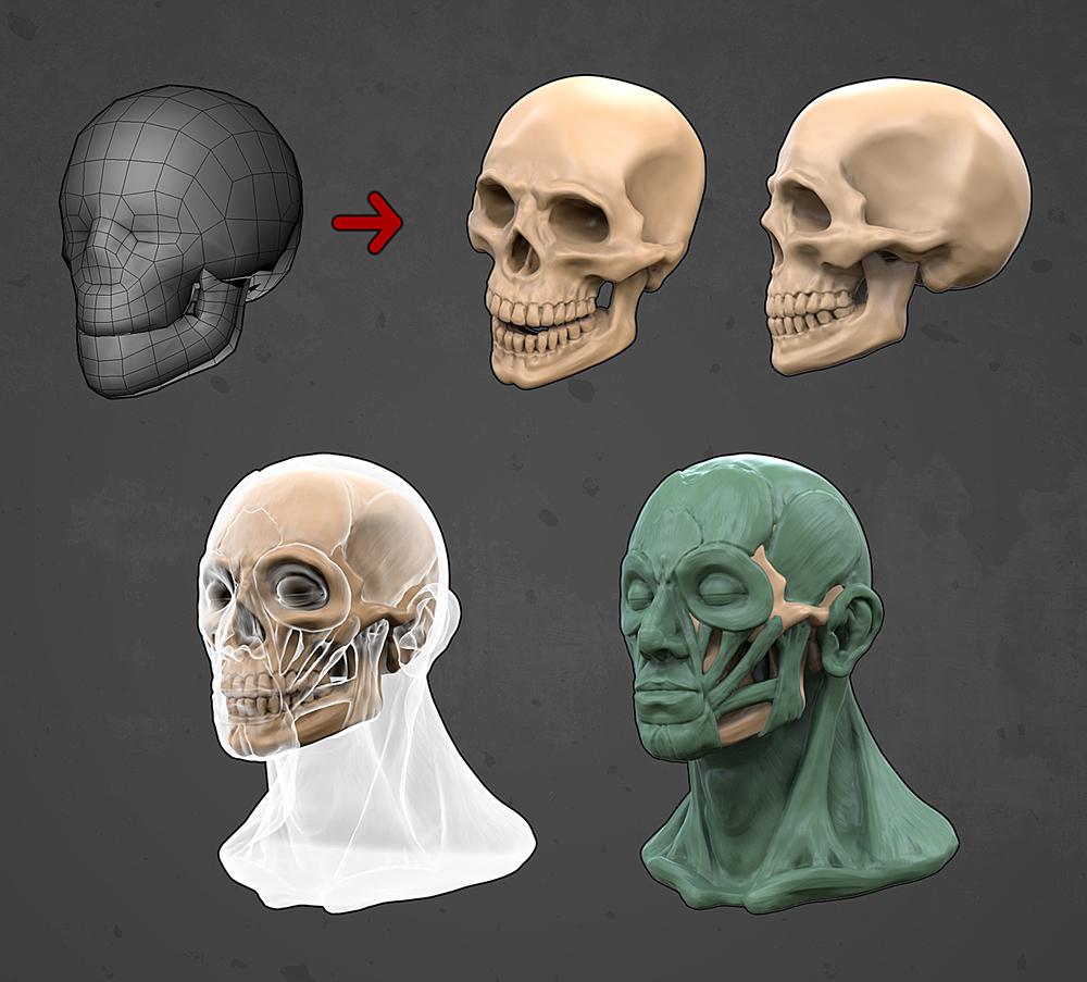 skull 2.jpg