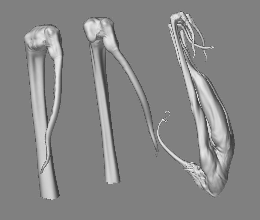 ZBrush Document C.jpg