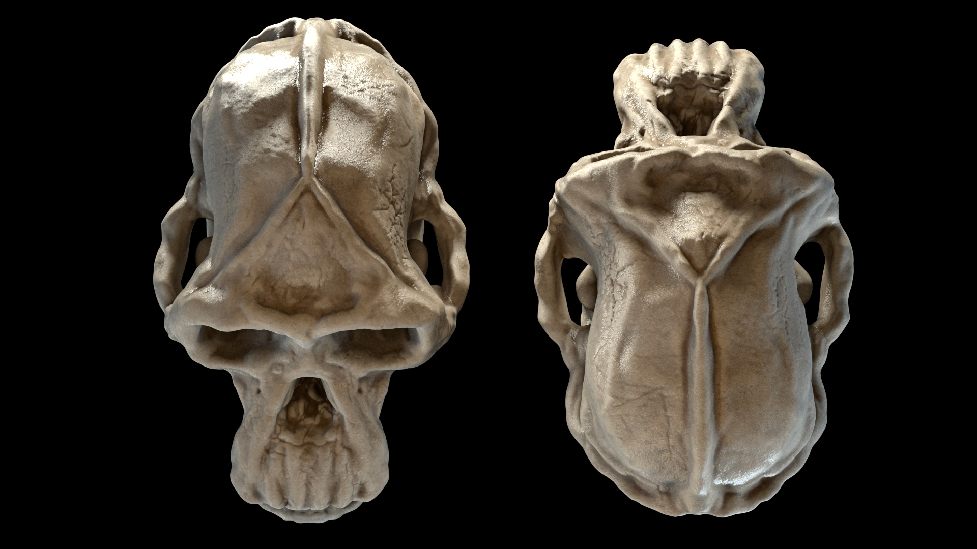 ChimpSkull_RS_Sub_0001.jpeg