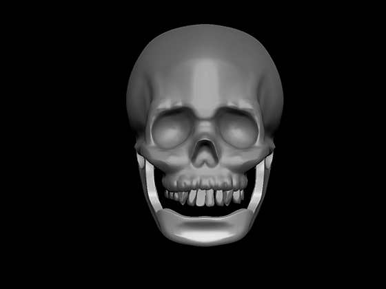 Skull_Front1.png