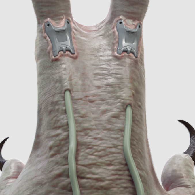 ClawSkinCloseUp_02.jpg