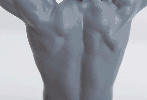 Back-Movement-Close-up.gif