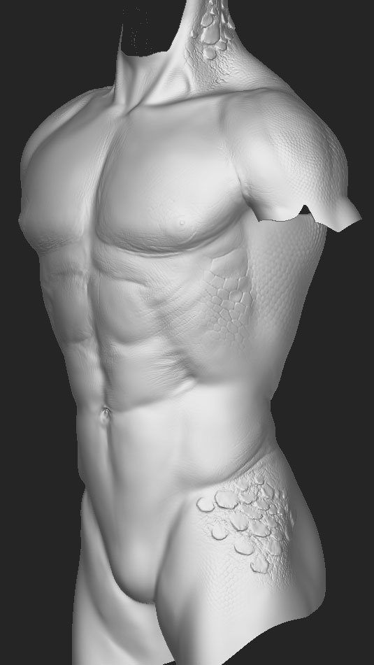 ztorso02.jpg