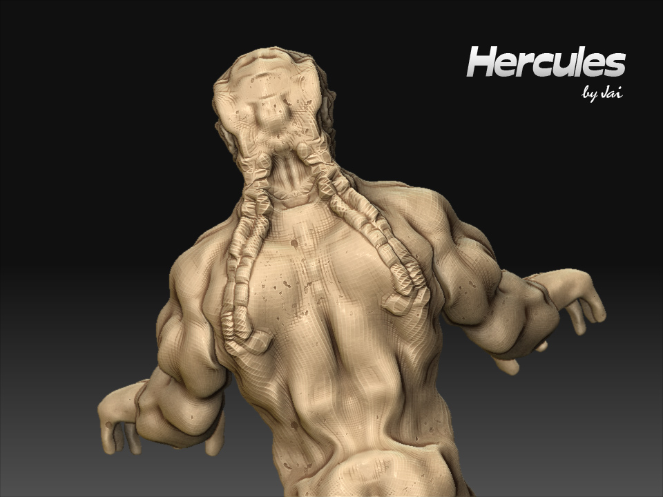 hercules_back.jpg