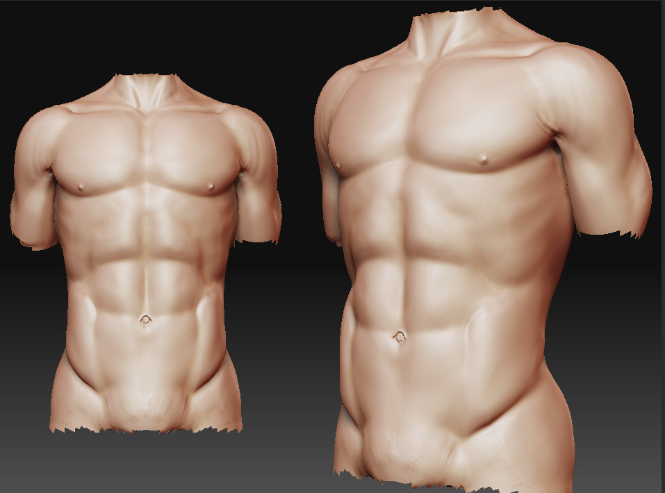 torso_braco_tras.jpg