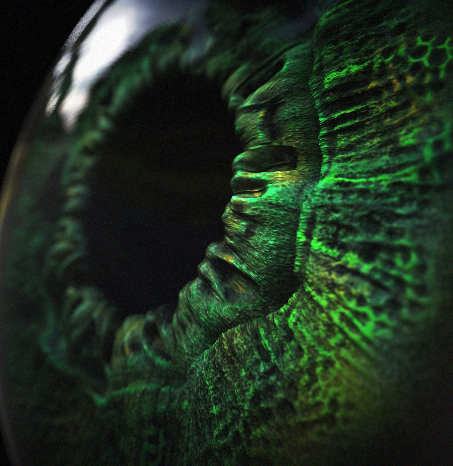render one.jpg