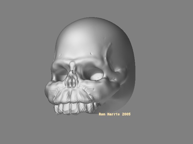 skull1Sept14J.jpg